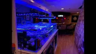 Coral Farm System Tour.