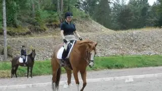 Hannah & Easil Dressage