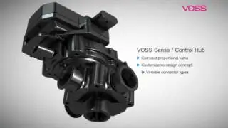 VOSS Sense / Control Hub for Passenger Cars