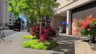 Humu Deli and Juice, Honolulu, Hawaii, 12-28-20