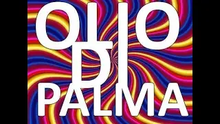 KOLLAVINILIKA - OLIO DI PALMA