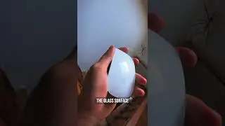 I can&rsquo;t use the Apple Magic Mouse because&hellip;