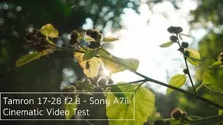 Summer Sunset - Sony A7iii + Tamron 17-28 Cinematic Test | HLG3 4k