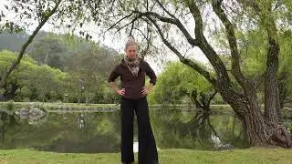 Full Qigong Practice with Silk Reeling for healthy joints. Beginner - Intermediate