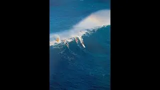 [FREE] Surf Type Beat - 