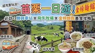 苗栗一日遊這樣玩！別再說苗栗好無聊了｜必吃金榜麵館、舊山線鐵道自行車、飛牛牧場療癒牛牛