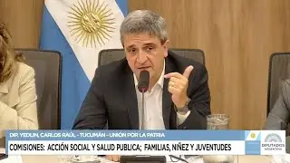 COMISIÓN COMPLETA: CONJUNTA - 21 de octubre de 2025 - PREVENCIÓN DEL SUICIDIO - Diputados Argentina