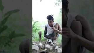 KNOW MORE ABOUT INDIAN SPECTACLED COBRA