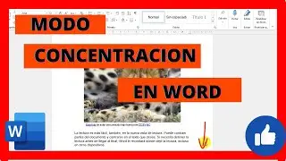 🧠​Enfócate al máximo: Usa el modo concentración de Word para una productividad sin límites