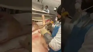Boning Pork Leg