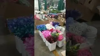 Flower District of Los Angeles CA #flowerblush #celebratelife #events #coordinator #thankyouGod