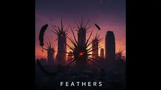 FEATHERS 
