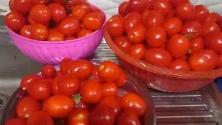 الست الشطره بس الي تعمل الحركه دي