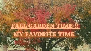 Fall Garden, fall gardening, Fall garden planting
