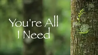 CDF - You're All I Need | (Official Lyric Video)