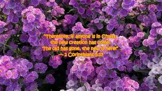 Bible verses #God #faith #love #life #strength #motivation #inspiration #grace #encouragement #hope