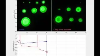 Treatment of Salmonella enteridis in liquid droplets by remote plasma-generated ozone