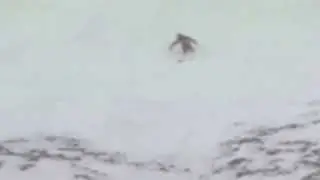 Michael Schumacher skiing fall