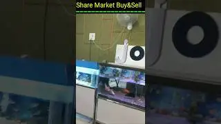 Solo First Trip on Road ll Part -1 🙏#trading #trending #stockmarketdata #singer #shorts