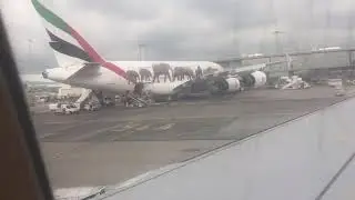 Trip Report Brussels Airlines Airbus A319 Nice to Brussels