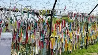 DMZ Fence on the border of South & North Korea's