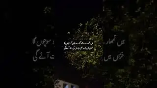 #2025 #poetry #2026 #sadpoetry #rajabfamily #rajab #2026short #foryou #fypシ #alinaamir #100millon #a