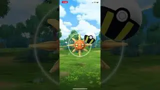 SOLROCK CP ??? NEW HIGHEST!!!