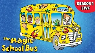 🔴 LIVE 🚌 The Magic School Bus 🚌 Season 1 FULL EPISODES 🦎 Live Stream