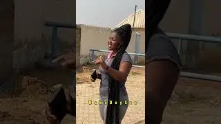 #comedy #broshaggi #love #funny #motivation #duet #comedyvideos #shaggi #wakadeysee