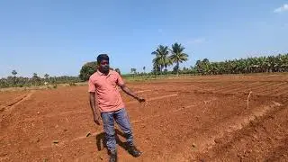Castor seed farming research plot 2 (Tamil) --Day 16 Update --Part 2