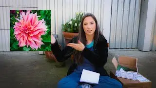 Dahlia Haul