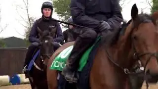 Gordon Elliott on Apples Jade