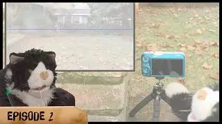 Purry & Pat Draw Stuff! Episode 2: Perspective lesson on EYE LEVEL