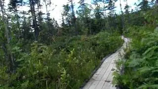 Nine Mile River Trails