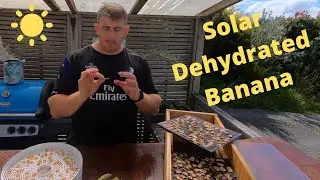 Простой солнечный дегидратор (сделай сам) &mdash; банановые чипсы