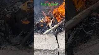 Огонь и пиво!