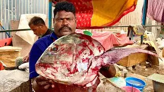 KASIMEDU SPEED SELVAM TREVALLY FISH HEAD CUTTING VIDEO FISHERMEN ENTERTAINMENT video 