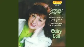 Szervusz, szerelem, &eacute;n b&uacute;cs&uacute;zom