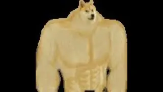 He protecc, he attacc, he stacc - Crit nasus, masters today?