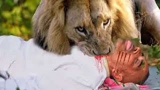 Lion Attack man in forest 2025! Lion Attack Stories And Lion Attack Man