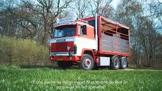 JT Transport - om vognene