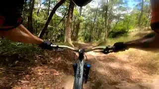 Mapleton DH lapping