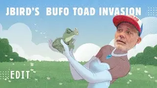 Jbird's Bufo Toad Invasion | EDIT | 11/13/25