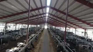 Wagler & Associates | Freestall Barn