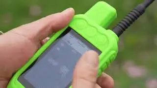 Cat Hunting with hounds