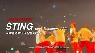 260130-0201 MONSTA X JOOHONEY 주헌 ‘STING 스팅 & 하늘에 머리가 닿을 때까지’ | THE X: NEXUS FOCUS CAM 몬스타엑스 주헌 직캠 합본
