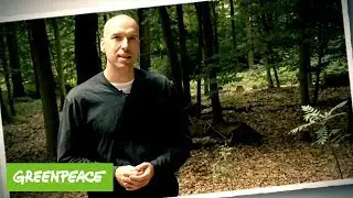 Themenfilm  W&auml;lder | Greenpeace Kids