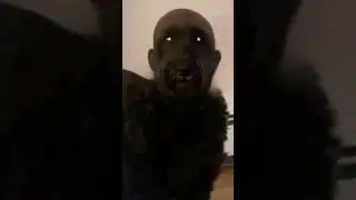 El Perro Calvo |#iceberg #leyendasurbanas #misterios #creepypasta #perro #riande