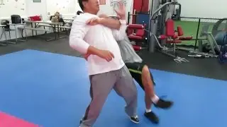 Fighting Arts - Yin Style Bagua - Curling In attacks