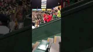 ヤクルト 中村応援歌 応援団横